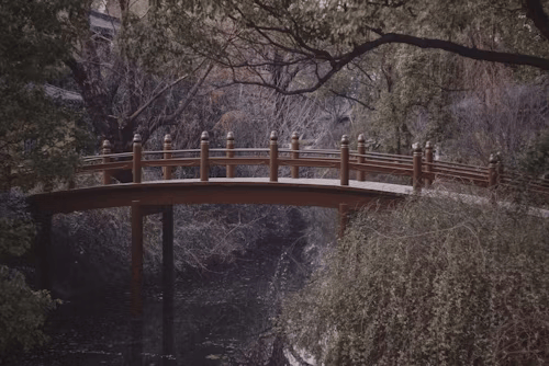 Maybe: A Taoist Parable on Trust and Flow