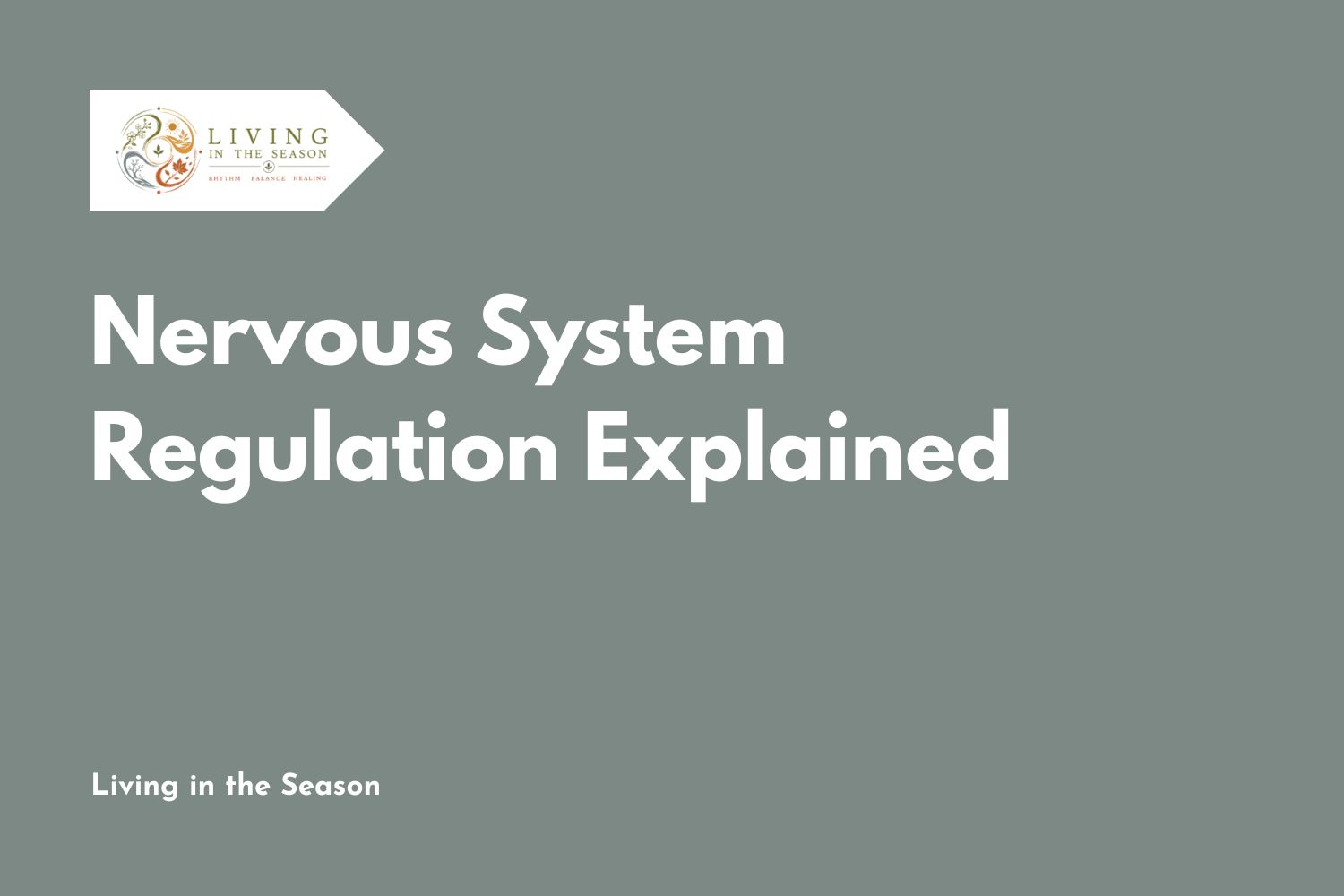 Nervous System Regulation Explained