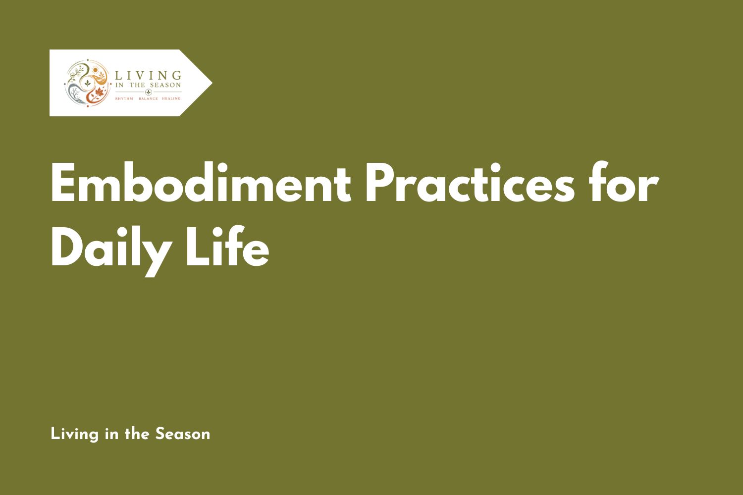 Embodiment Practices for Daily Life