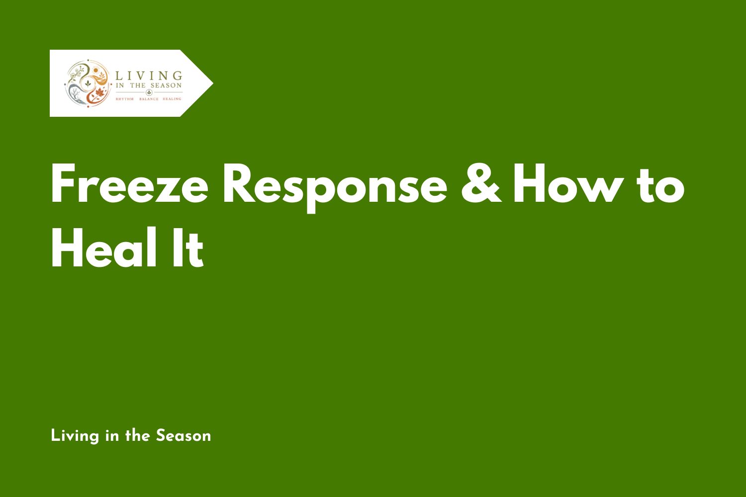 Freeze Response & How to Heal It
