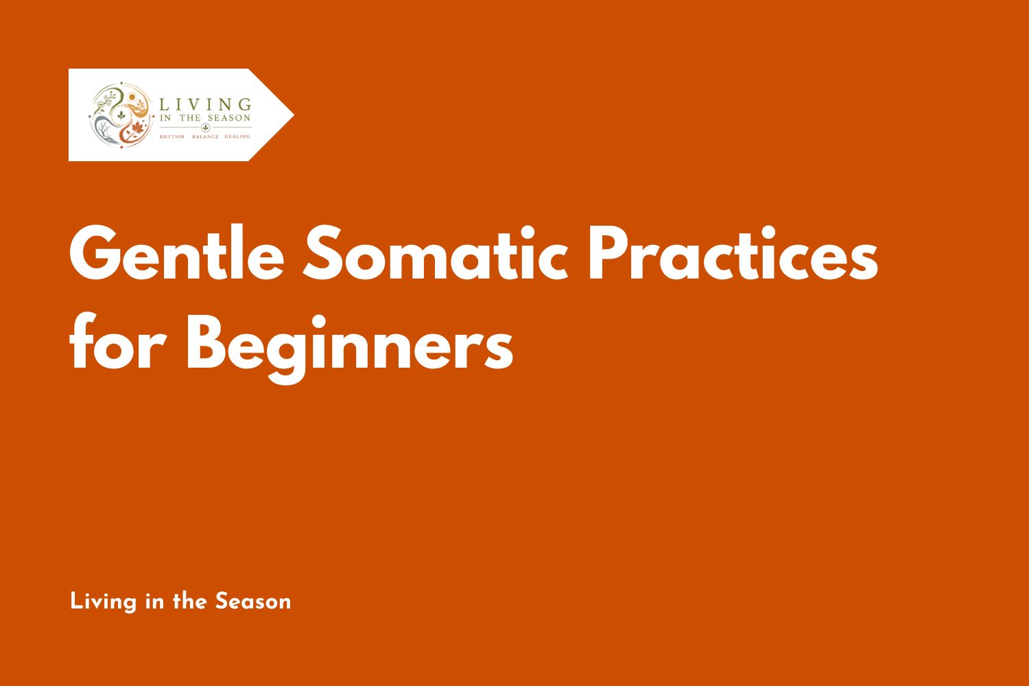 Gentle Somatic Practices for Beginners