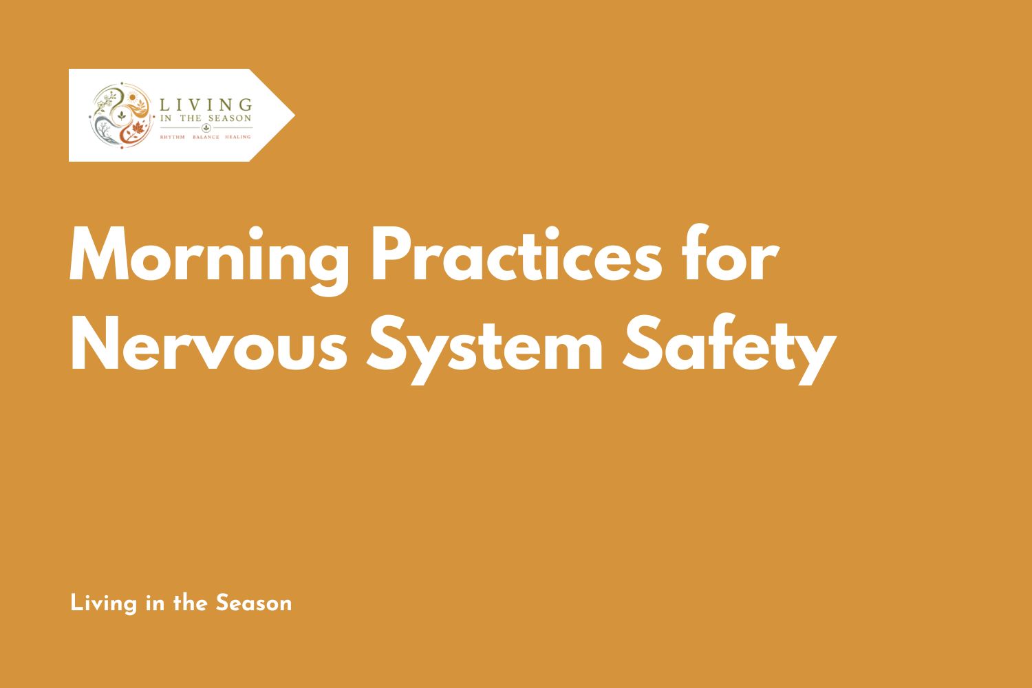 Morning Practices for Nervous System Safety