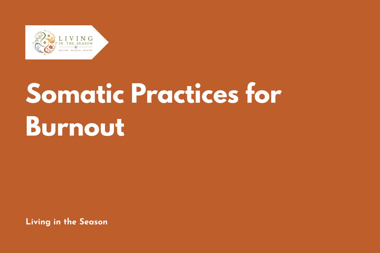 Somatic Practices for Burnout