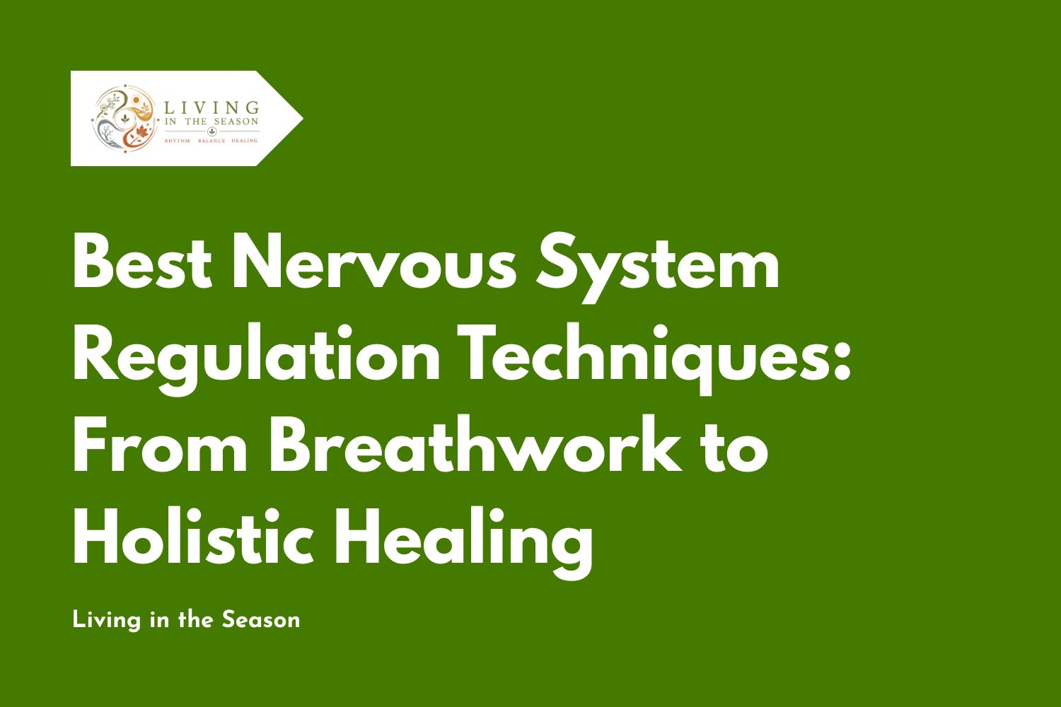 Best Nervous System Regulation Techniques: From Breathwork to Holistic Healing