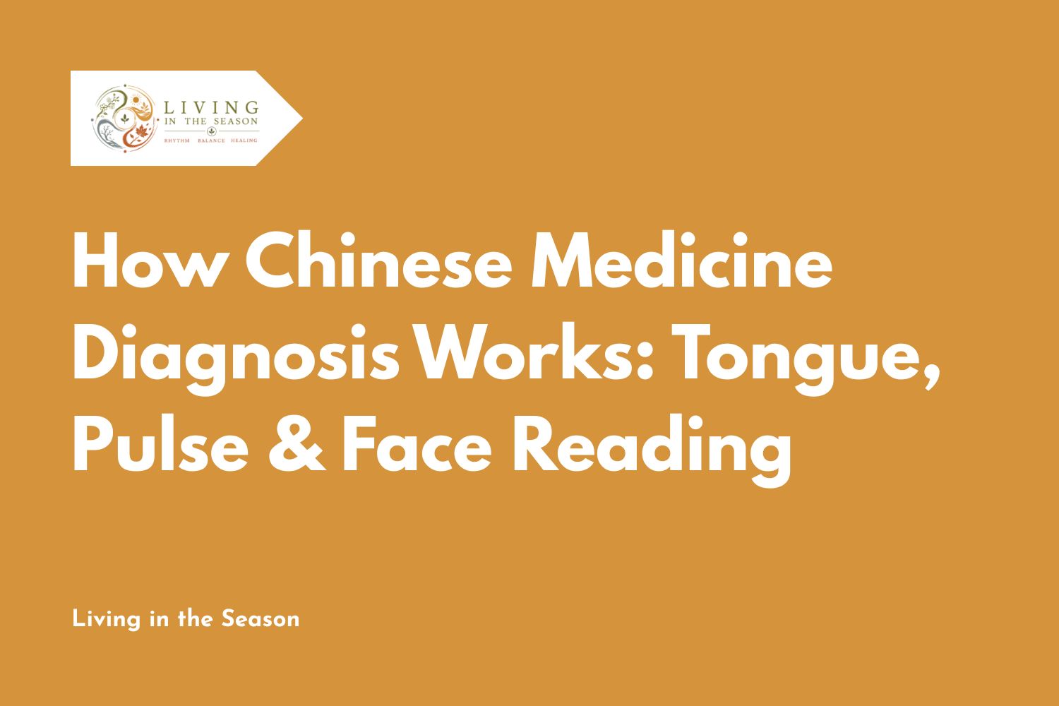 How Chinese Medicine Diagnosis Works: Tongue, Pulse & Face Reading