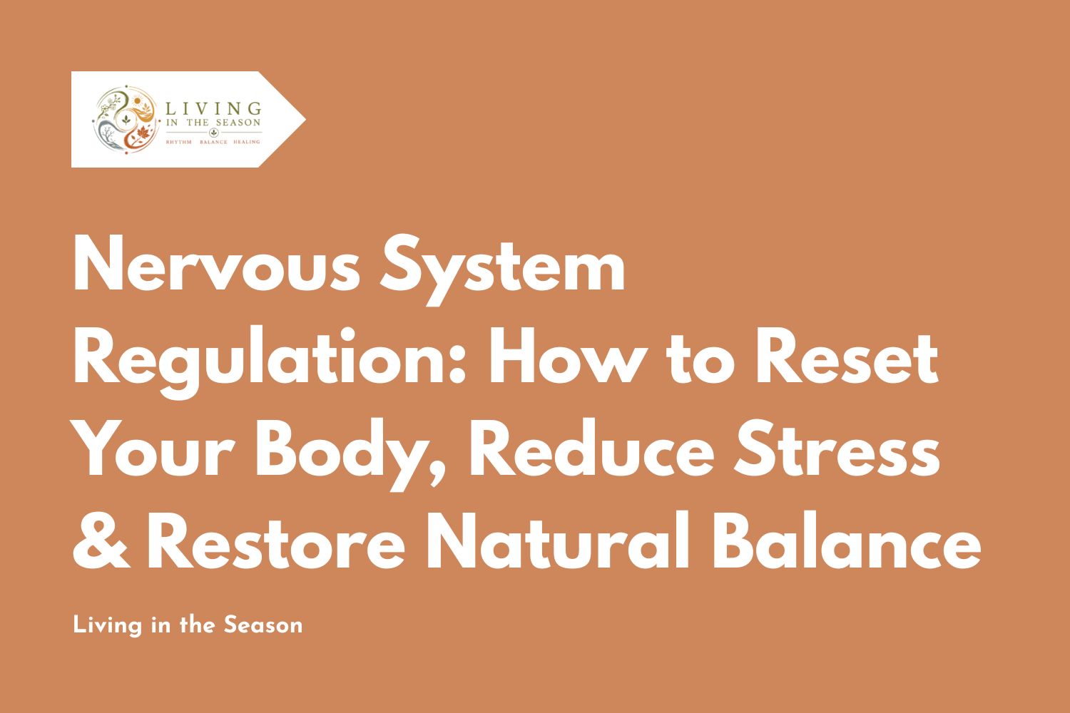 Nervous System Regulation: How to Reset Your Body, Reduce Stress & Restore Natural Balance