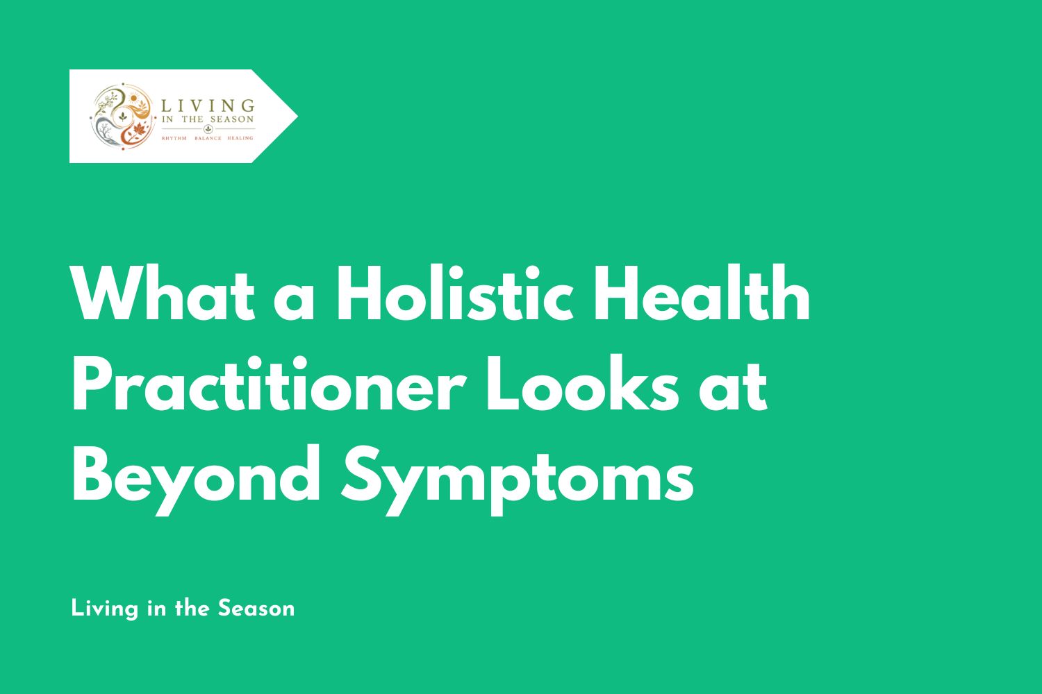 What a Holistic Health Practitioner Looks at Beyond Symptoms