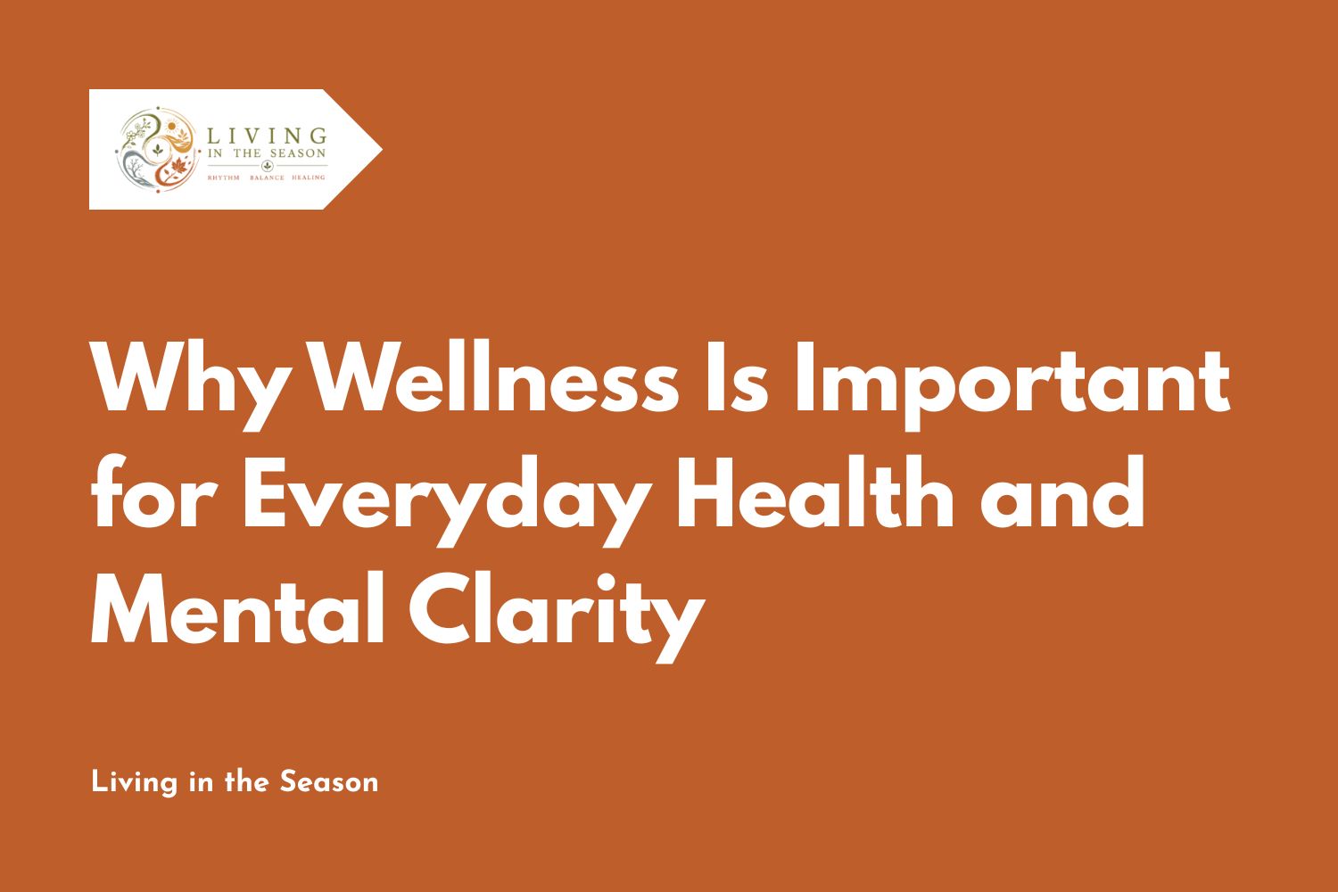 Why Wellness Is Important for Everyday Health and Mental Clarity