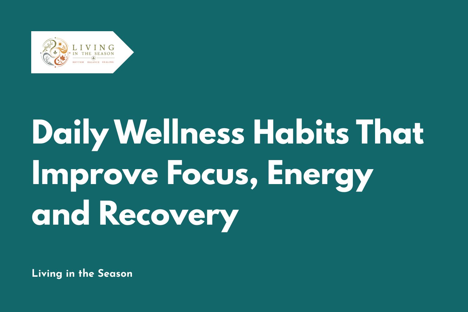 Daily Wellness Habits That Improve Focus, Energy and Recovery