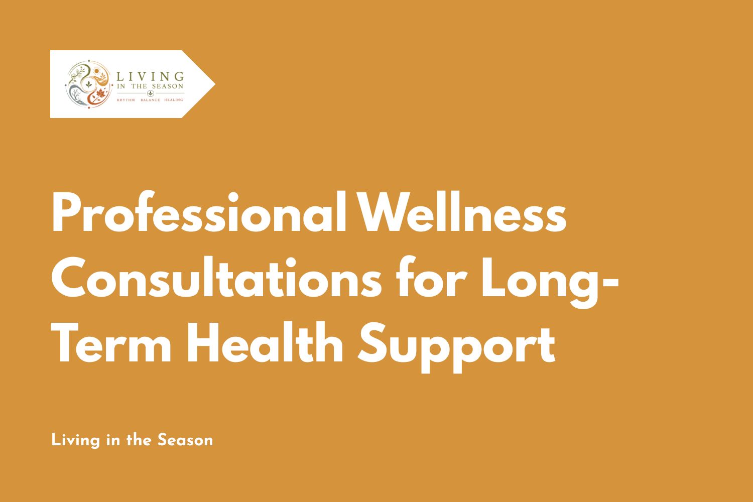 Professional Wellness Consultations for Long-Term Health Support