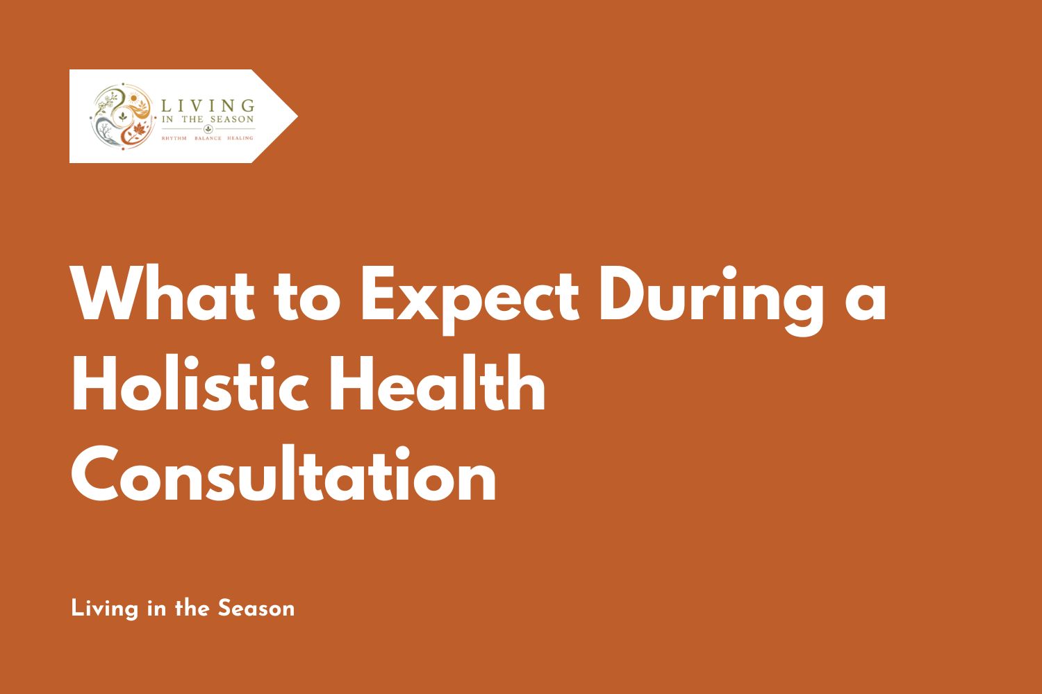 What to Expect During a Holistic Health Consultation