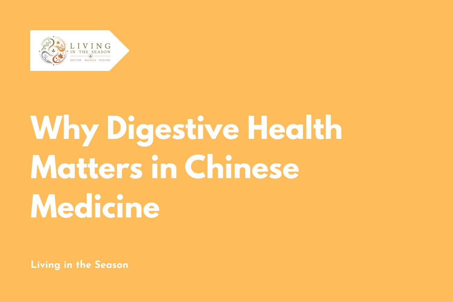 Why Digestive Health Matters in Chinese Medicine