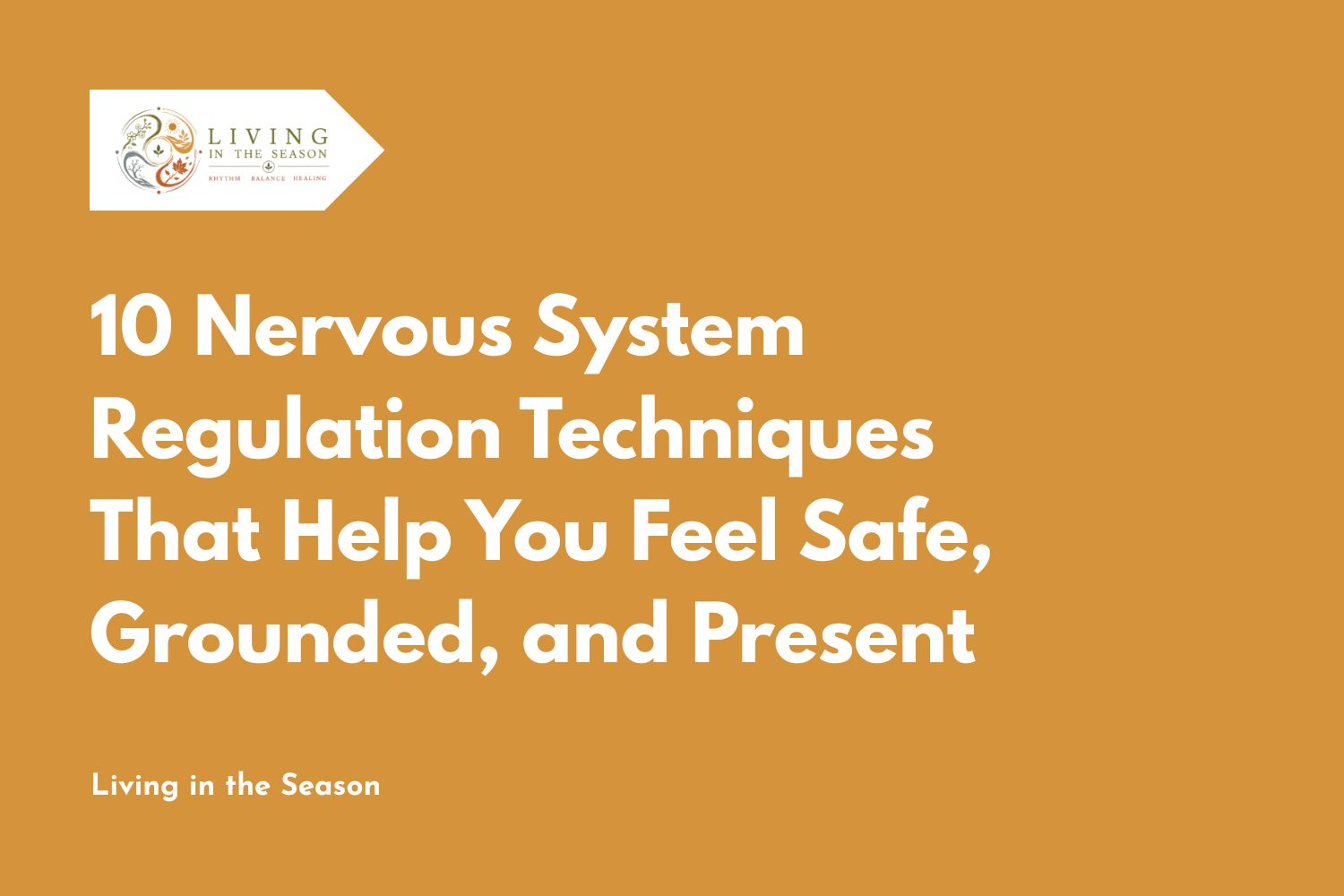 10 Nervous System Regulation Techniques That Help You Feel Safe, Grounded, and Present
