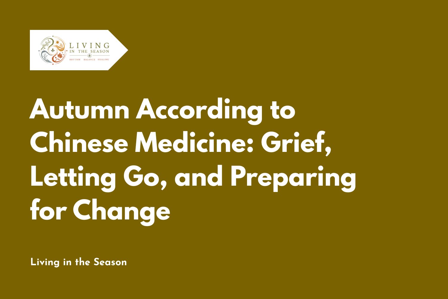 Autumn According to Chinese Medicine: Grief, Letting Go, and Preparing for Change