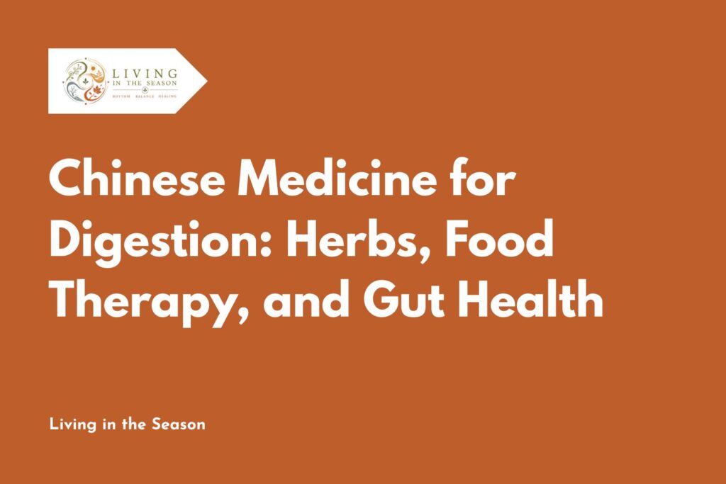 Chinese Medicine for Digestion: Herbs, Food Therapy, and Gut Health