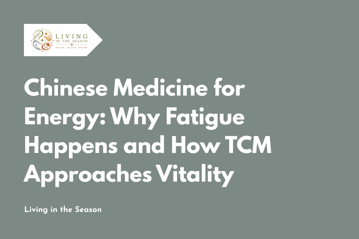 Chinese Medicine for Energy: Why Fatigue Happens and How TCM Approaches Vitality