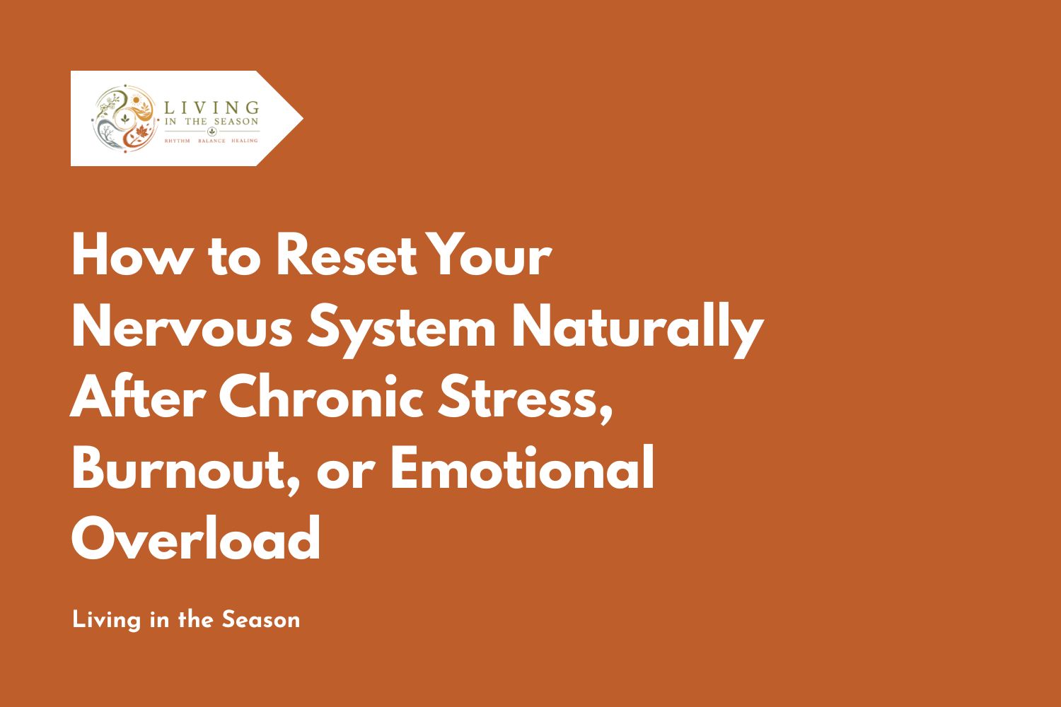 How to Reset Your Nervous System Naturally After Chronic Stress, Burnout, or Emotional Overload