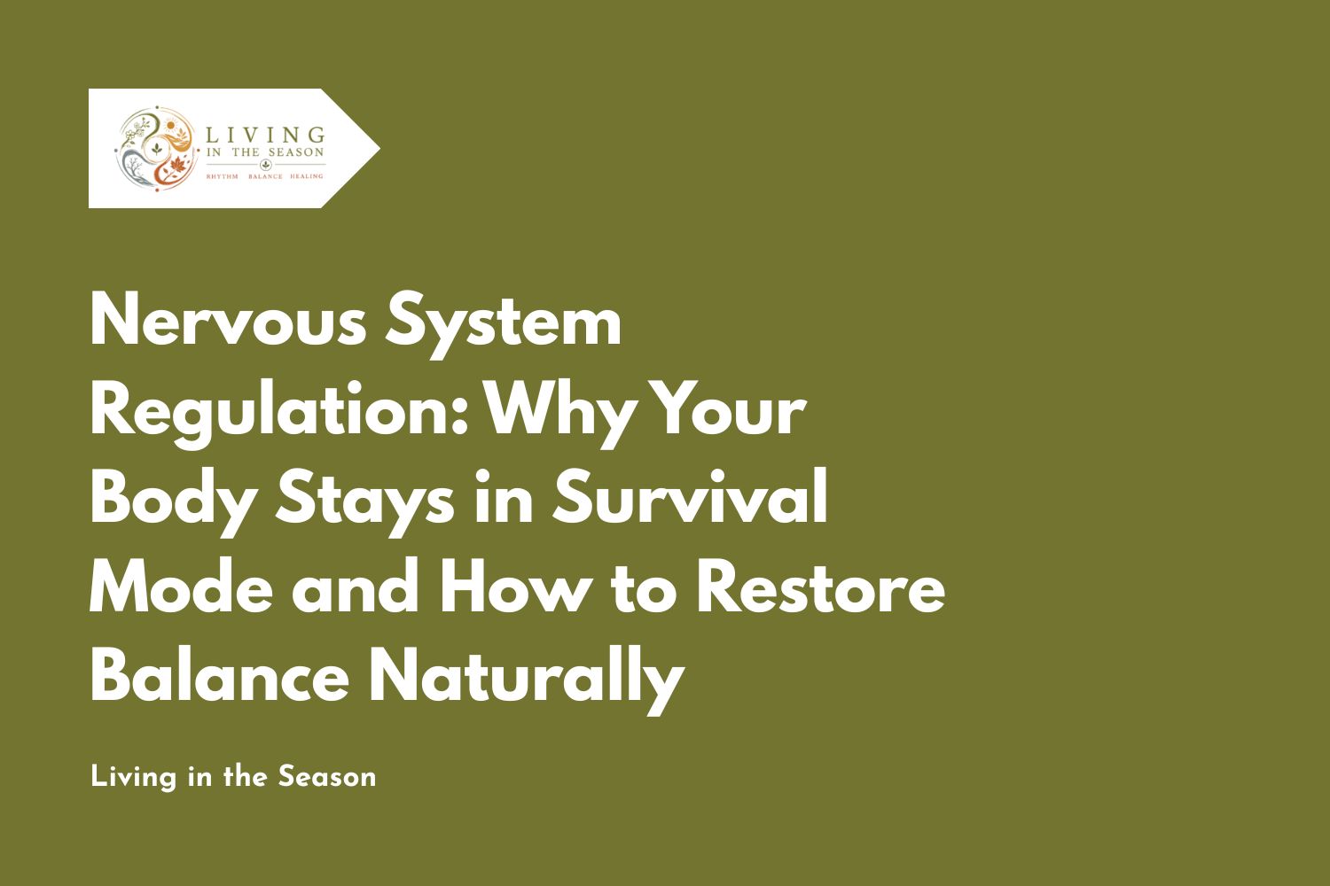Nervous System Regulation: Why Your Body Stays in Survival Mode and How to Restore Balance Naturally