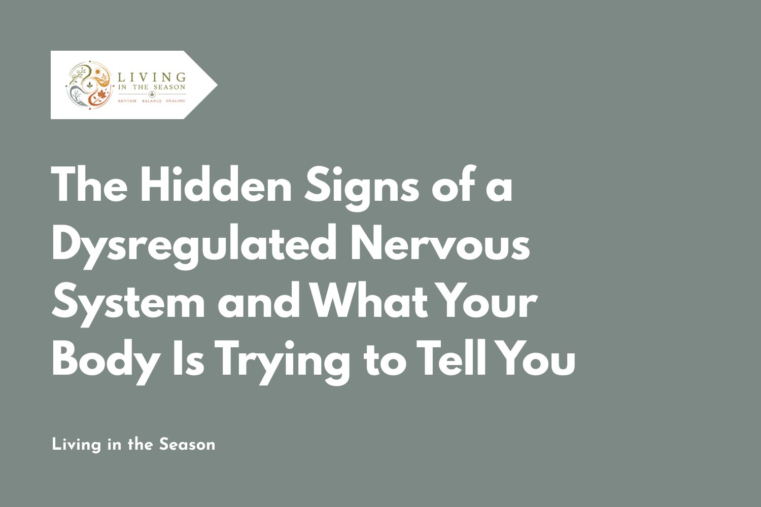 The Hidden Signs of a Dysregulated Nervous System and What Your Body Is Trying to Tell You