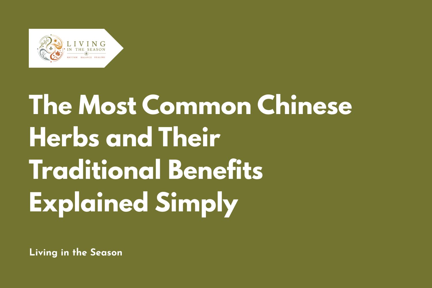 The Most Common Chinese Herbs and Their Traditional Benefits Explained Simply