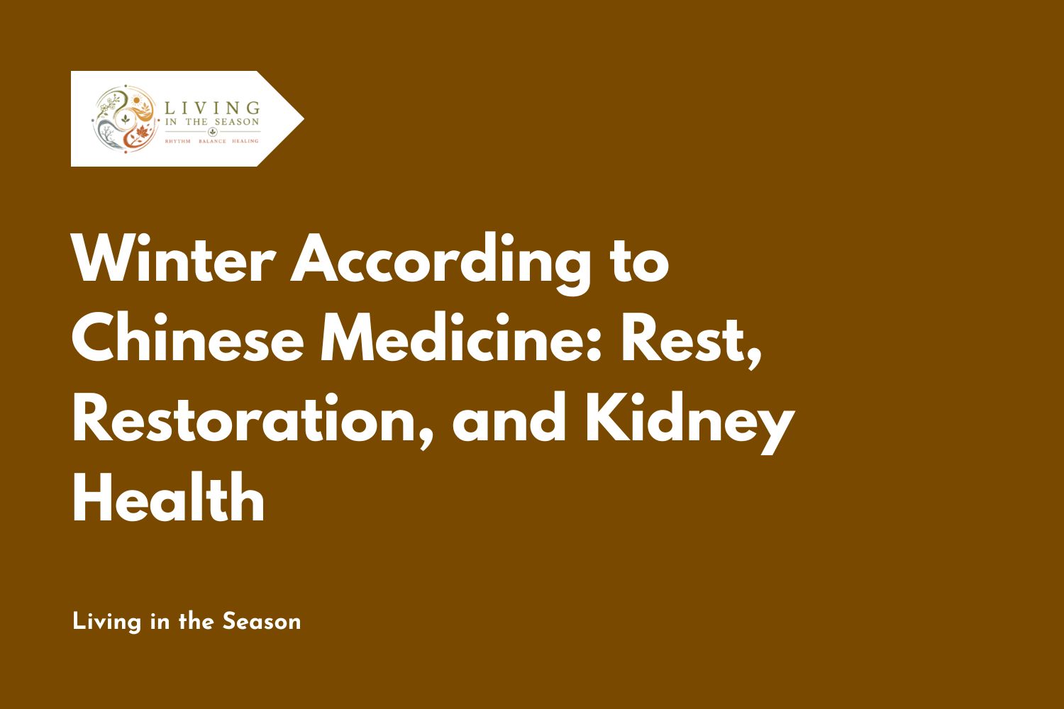 Winter According to Chinese Medicine: Rest, Restoration, and Kidney Health